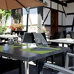 Logis Restaurant Au Boeuf 3* Blaesheim