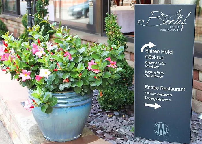 Hotel Restaurant Au Boeuf Blaesheim
