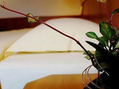 Restaurant Au Boeuf 3*